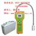 广东惠州煤气泄漏检测仪CA-2100H型经销价格