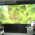 笔特尔4.8米×1.8米DLP大屏幕助力重庆重钢集团